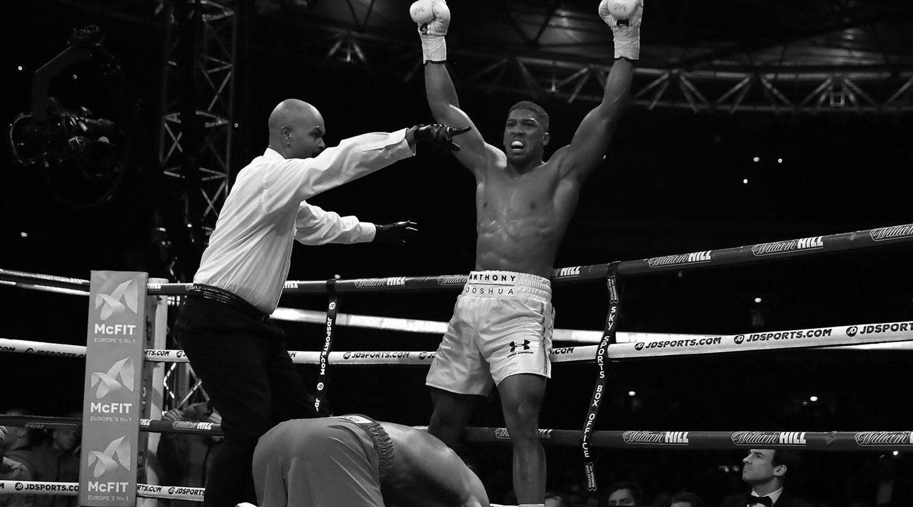 Chaos is a ladder: Navigating the Heavyweight Division!