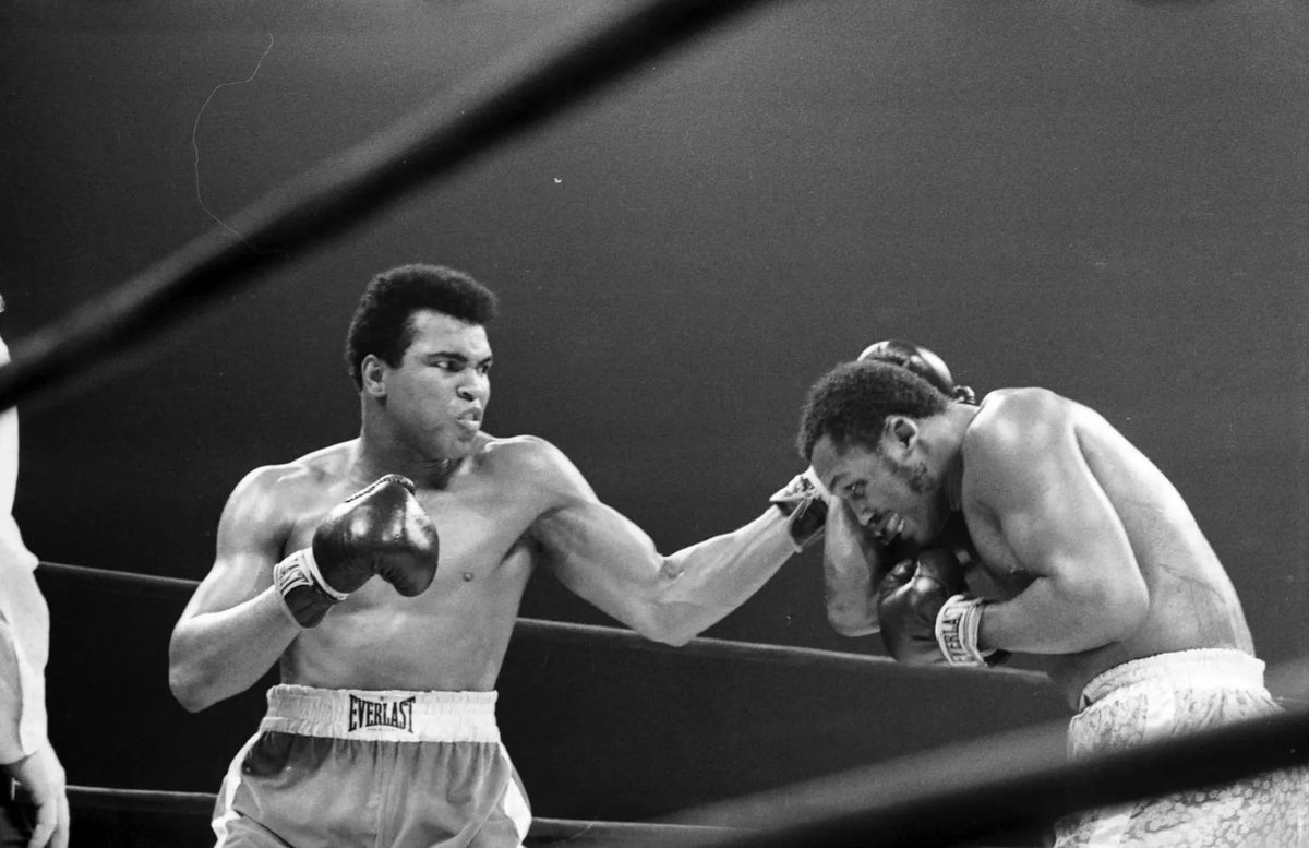 weight divisions for boxing-【HHVIP】 • Google Play🕖 Aposte suas jogadas ...