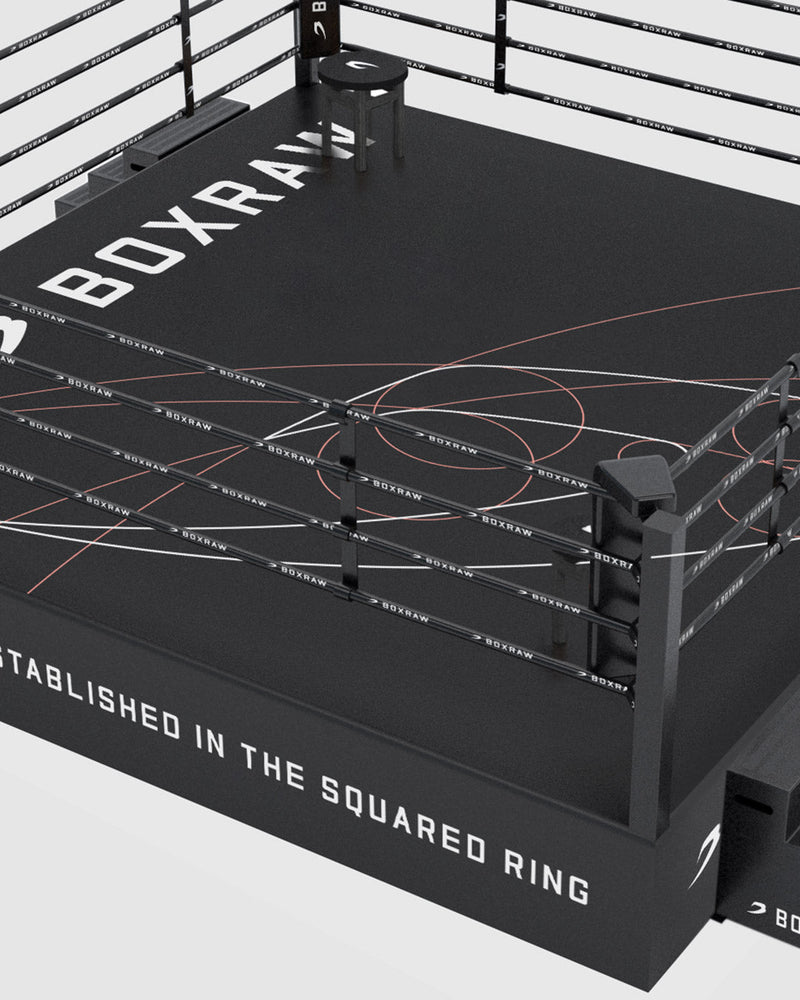 Workout Rings Boxing BOXRAW 36